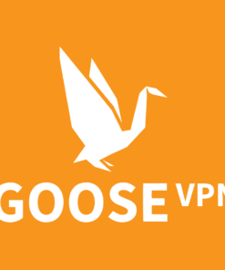 Goose VPN