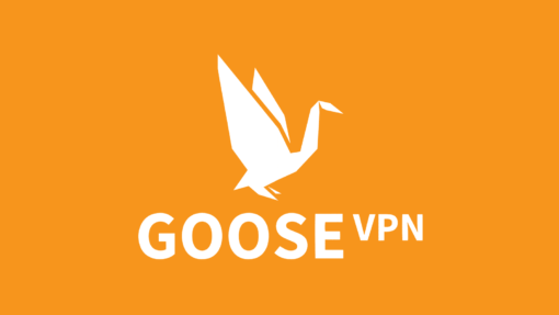 Goose VPN