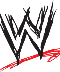 WWE Network Account (LIFETIME GUARANTEED)