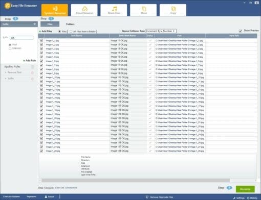 Easy File Renamer License [LIFETIME]