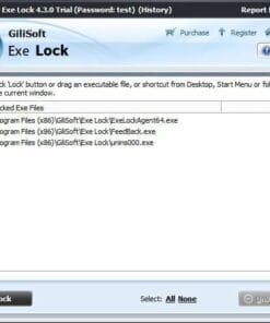 Gilisoft EXE Lock License [LIFETIME]