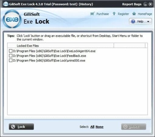 Gilisoft EXE Lock License [LIFETIME]