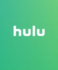 Netflix + Hulu Plus + Spotify Accounts [LIFETIME]