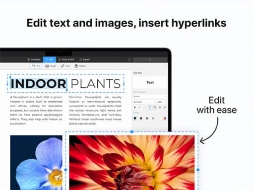PDF Expert